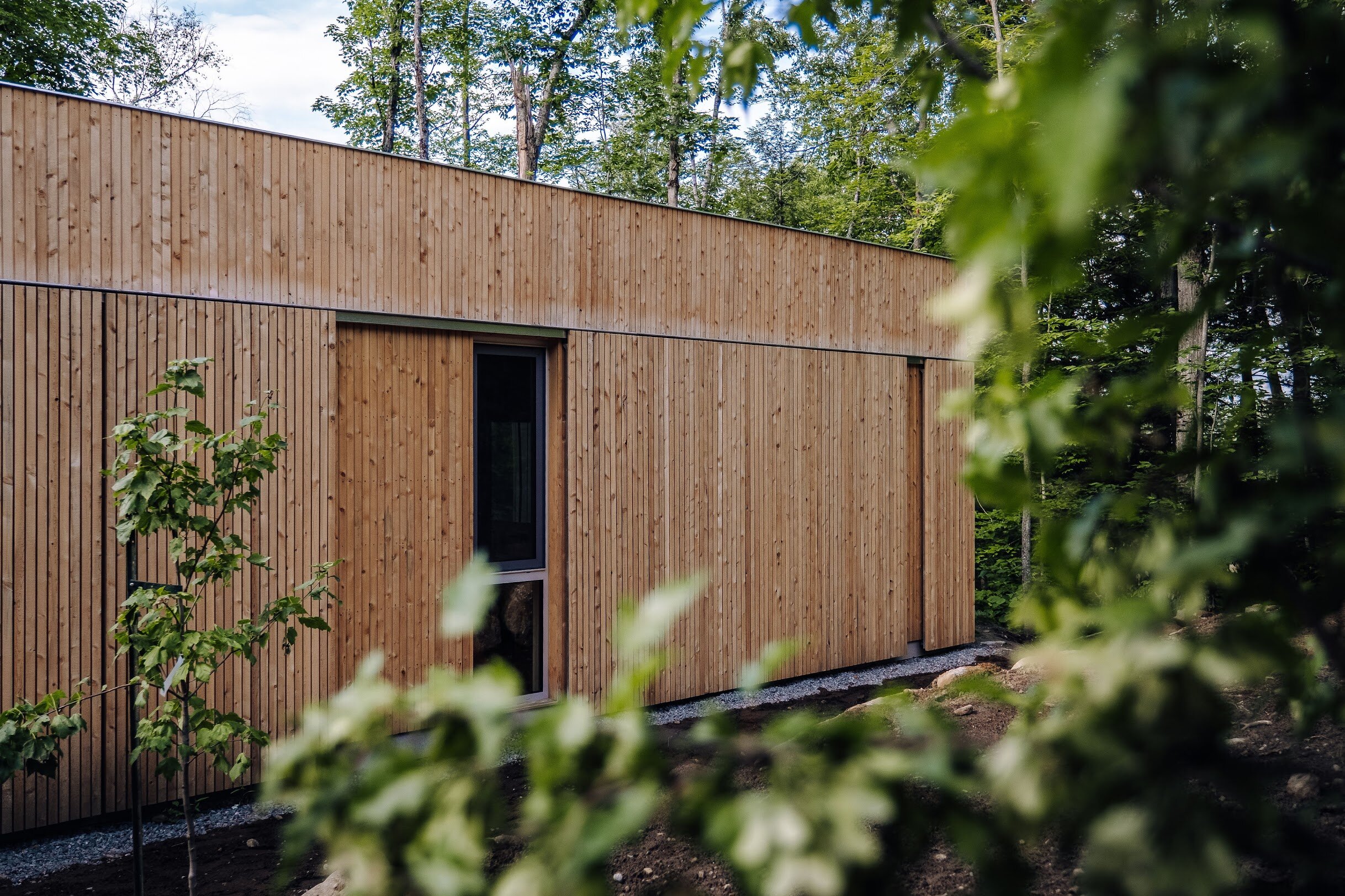 Modern house with vertical wooden siding surrounded by trees and greenery.