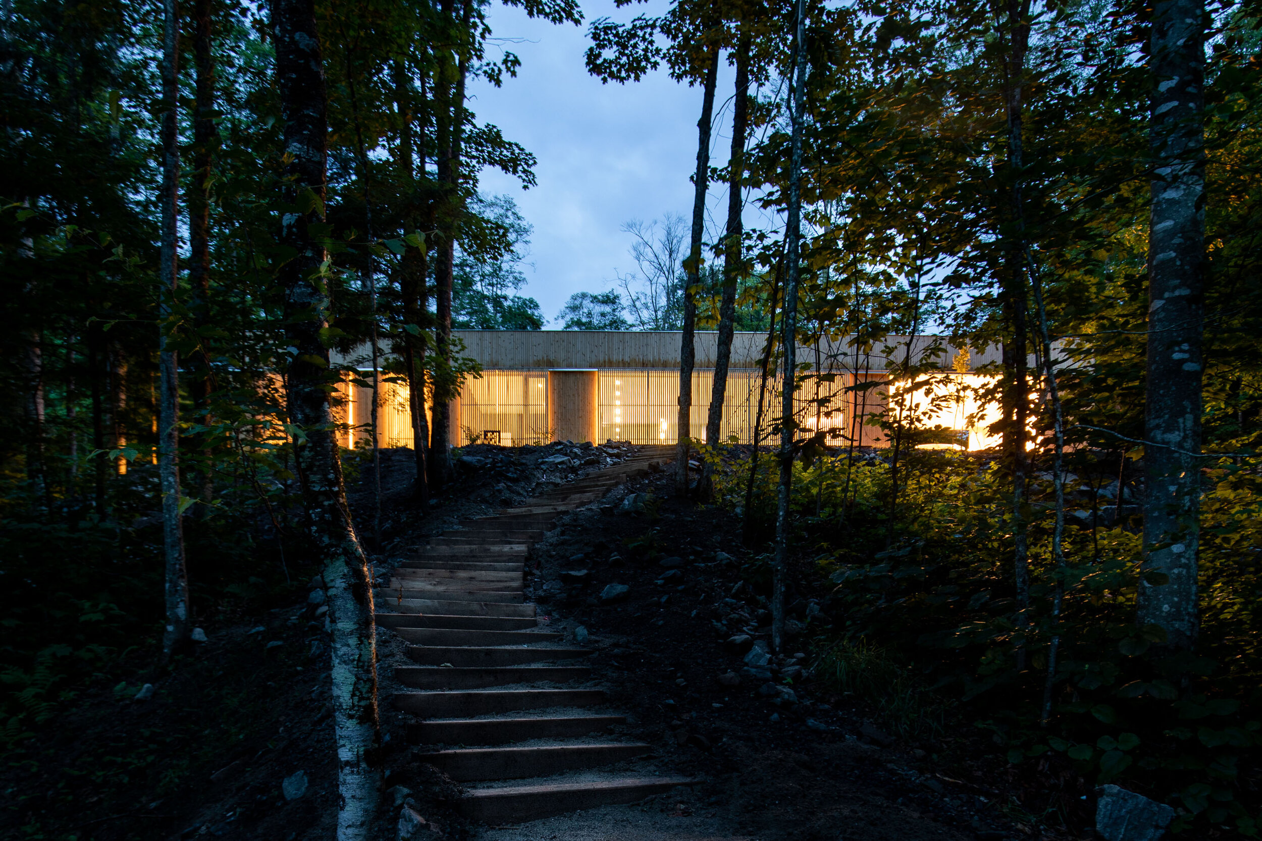 Wooden stairs leading up to a modern house with illuminated interior, surrounded by trees in a forest at dusk.