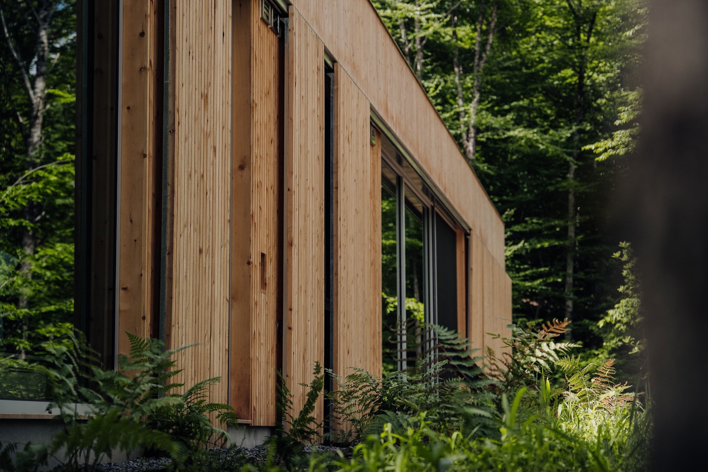A modern building with wooden exterior panels, large glass windows, surrounded by lush green trees and plants.