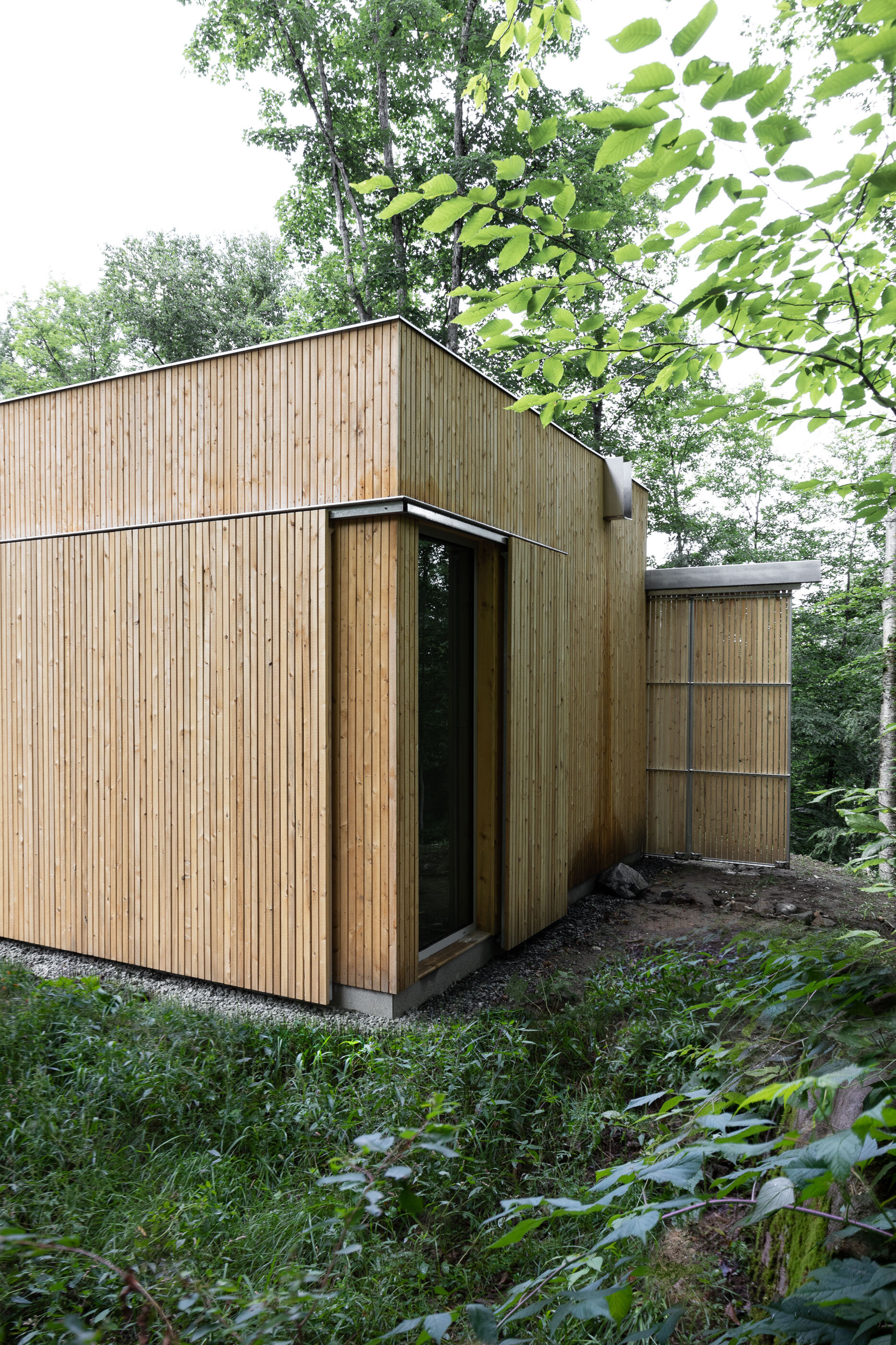 Close-up of a modern wooden house surrounded by green trees and foliage in a forest setting.