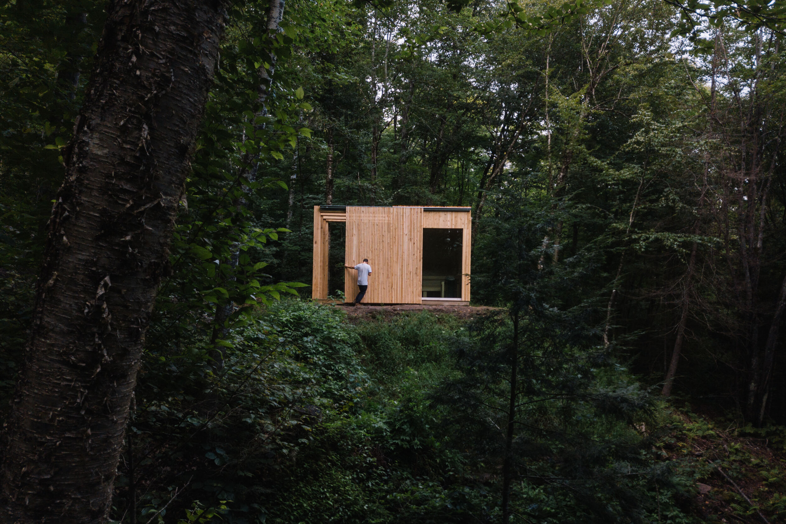 a minimalist interior looking out through full-height glass into the woods