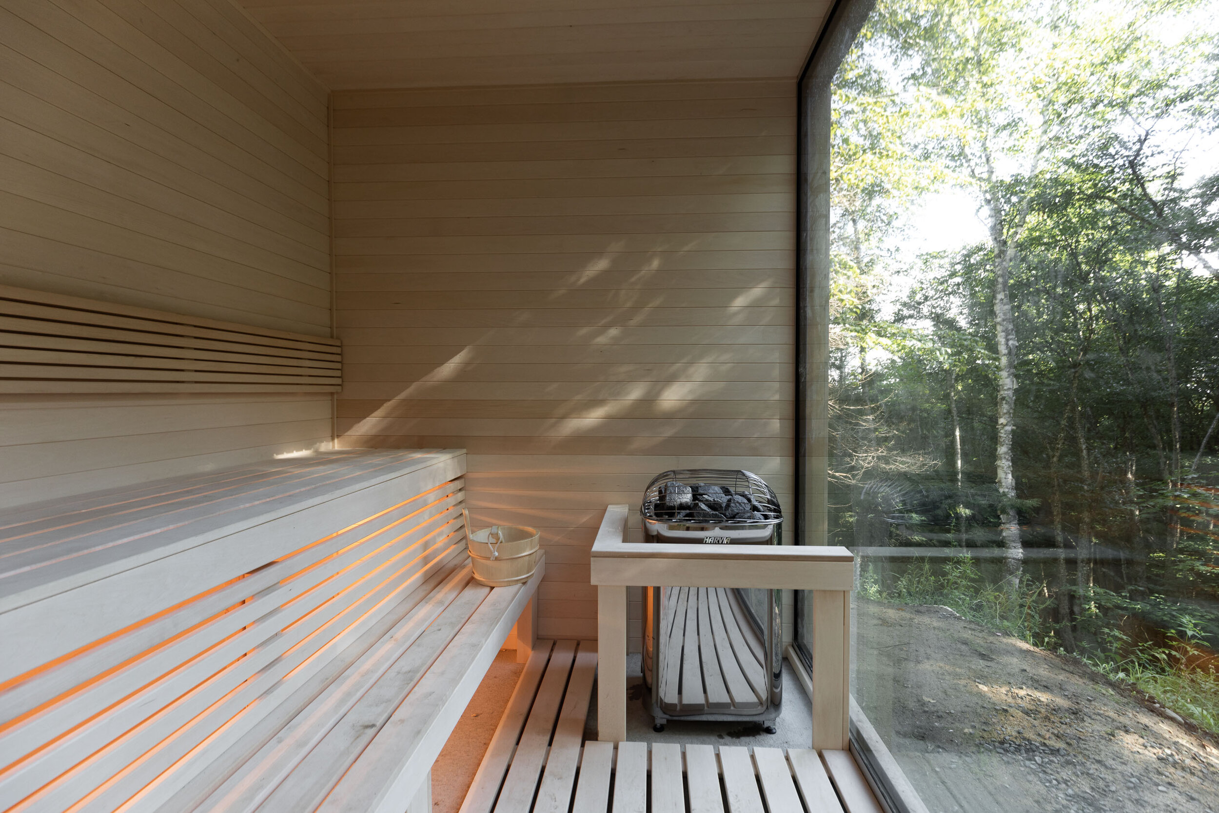 cedar benches and a window onto the forest inside the hinterhouse sauna